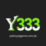 Y333 Game